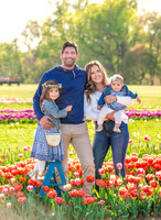 Tulip Sessions